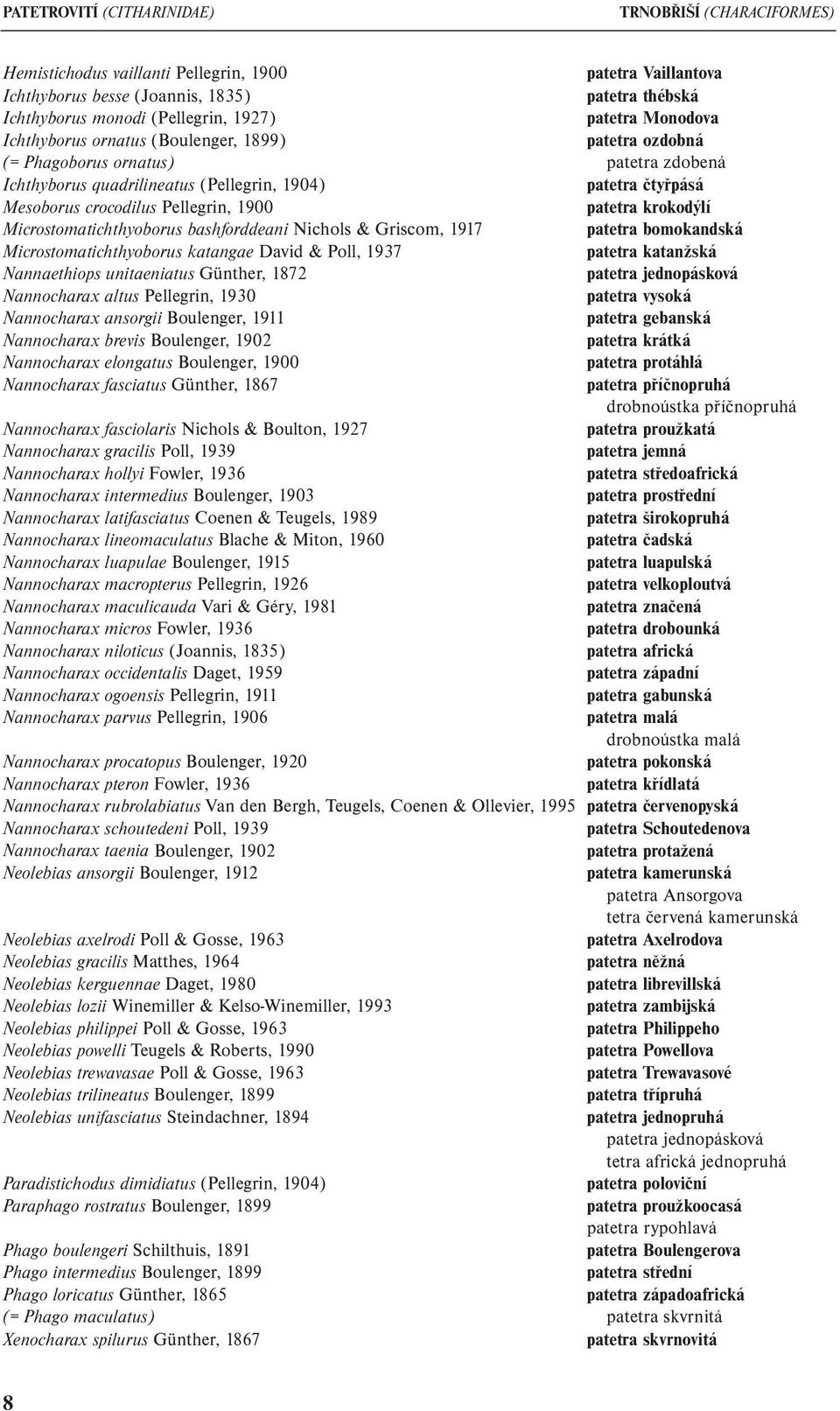 Pellegrin, 1900 patetra krokodýlí Microstomatichthyoborus bashforddeani Nichols & Griscom, 1917 patetra bomokandská Microstomatichthyoborus katangae David & Poll, 1937 patetra katanžská Nannaethiops