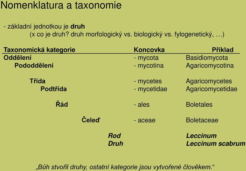 Agaricomycotina Třída - mycetes Agaricomycetes Podtřída - mycetidae Agaricomycetidae Řád - ales Boletales