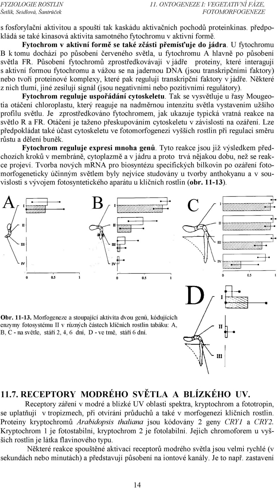 Působení fytochromů zprostředkovávají v jádře proteiny, které interagují s aktivní formou fytochromu a vážou se na jadernou DNA (jsou transkripčními faktory) nebo tvoří proteinové komplexy, které pak
