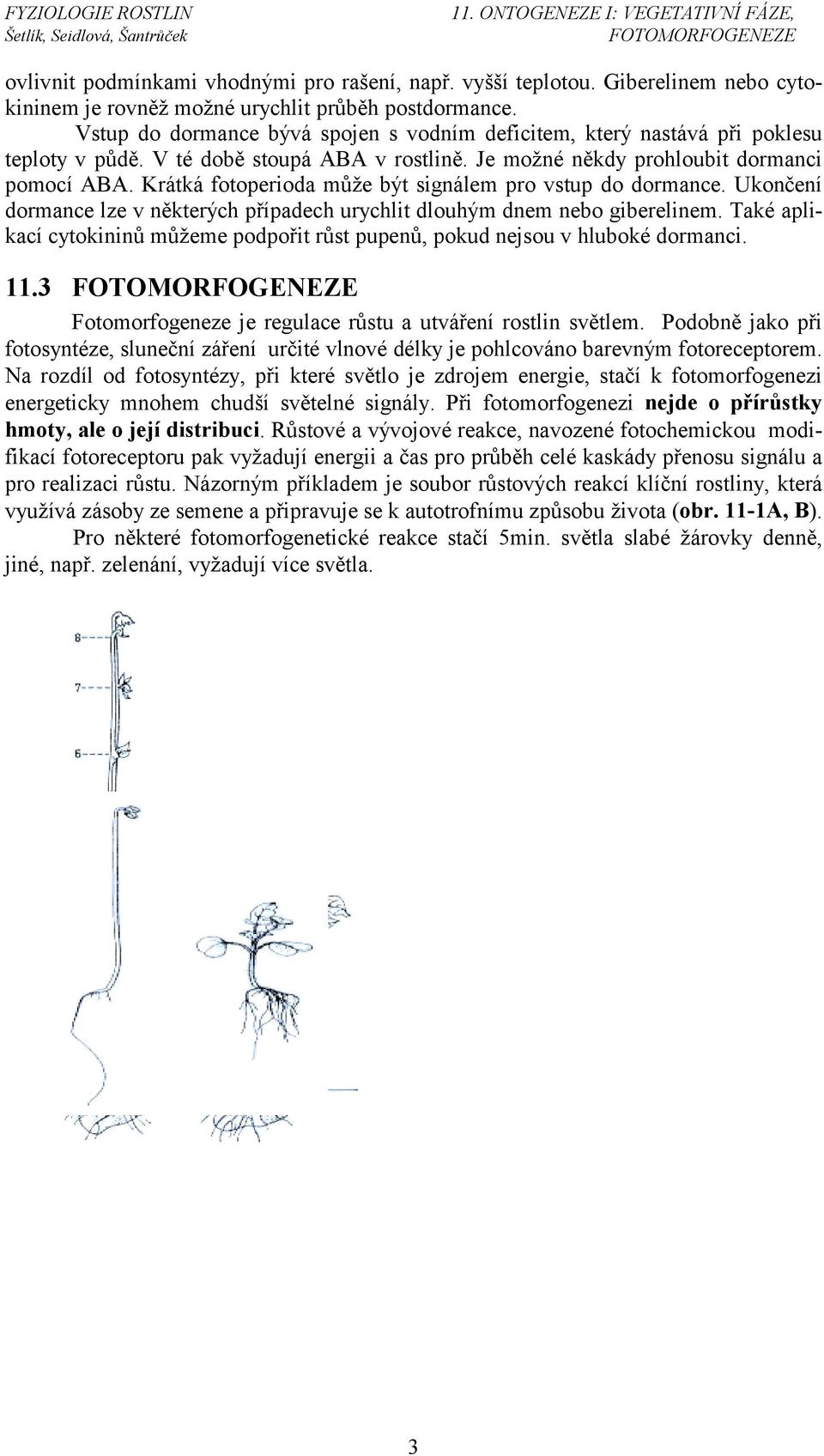 Krátká fotoperioda může být signálem pro vstup do dormance. Ukončení dormance lze v některých případech urychlit dlouhým dnem nebo giberelinem.