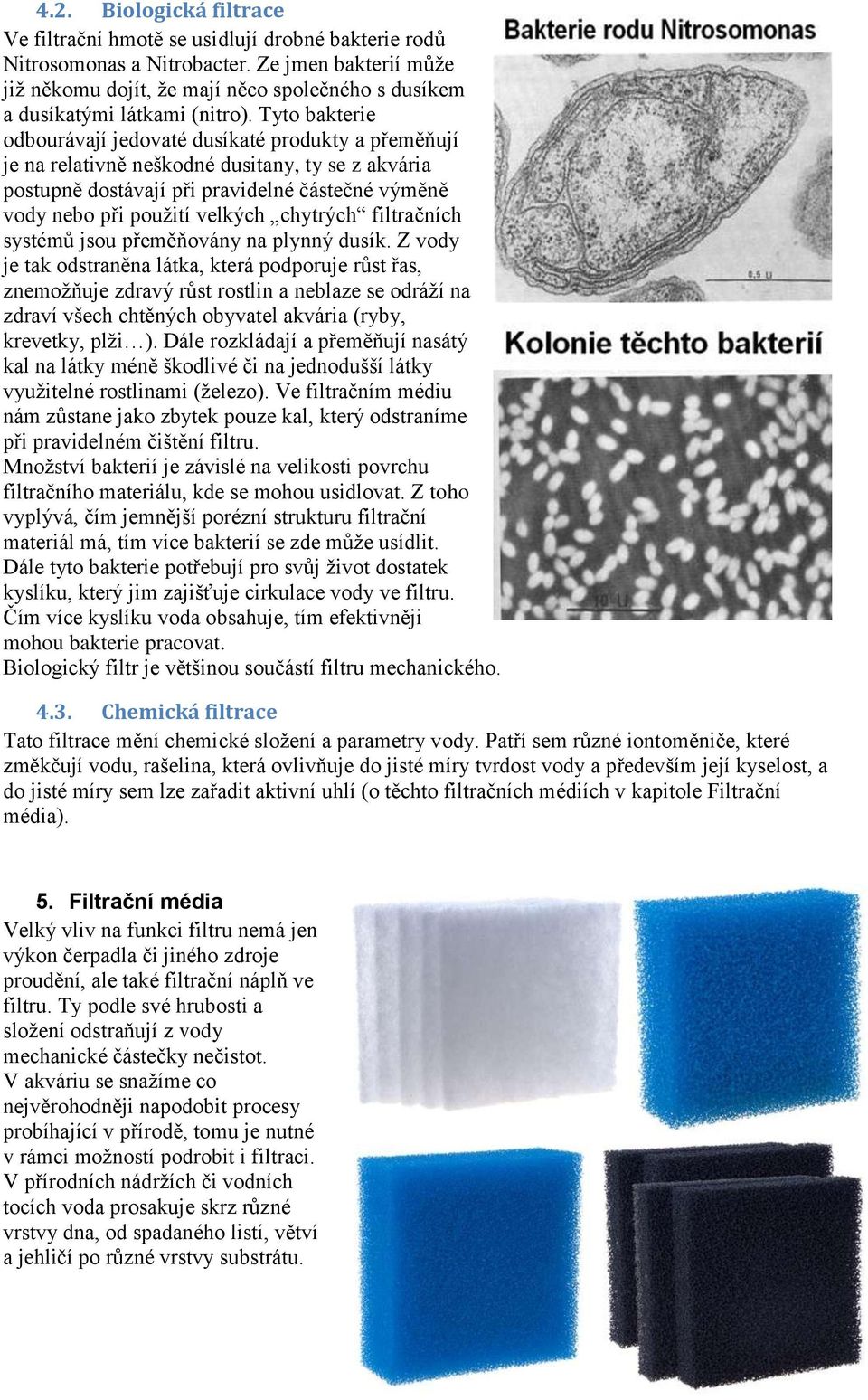 Tyto bakterie odbourávají jedovaté dusíkaté produkty a přeměňují je na relativně neškodné dusitany, ty se z akvária postupně dostávají při pravidelné částečné výměně vody nebo při použití velkých