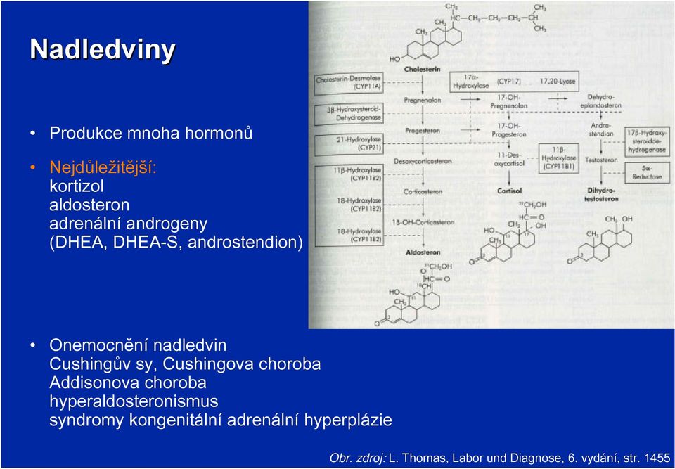 Cushingova choroba Addisonova choroba hyperaldosteronismus syndromy kongenitální