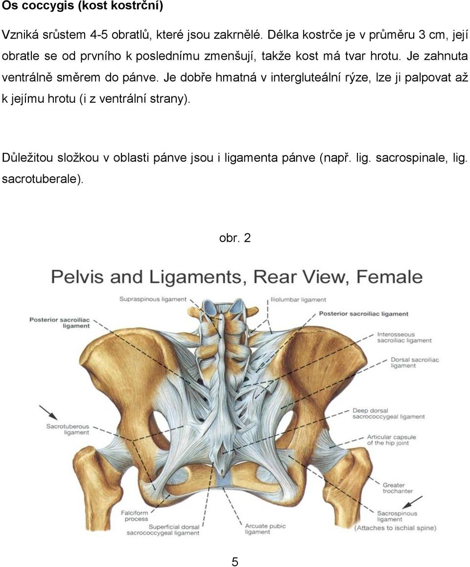 Ošetření pánevního dna - PDF Free Download