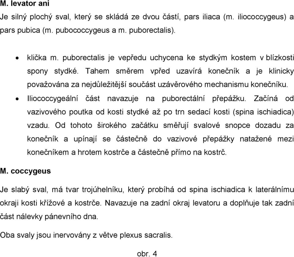 Iliococcygeální část navazuje na puborectální přepážku. Začíná od vazivového poutka od kosti stydké až po trn sedací kosti (spina ischiadica) vzadu.