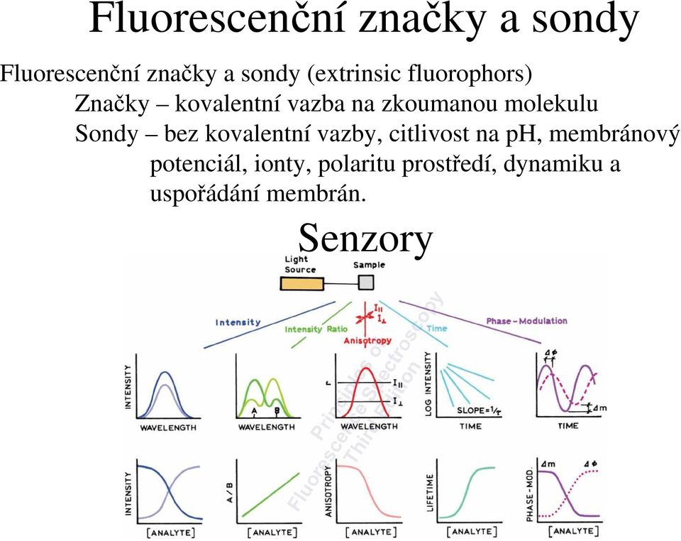 molekulu Sondy bez kovalentní vazby, citlivost na ph, membránový