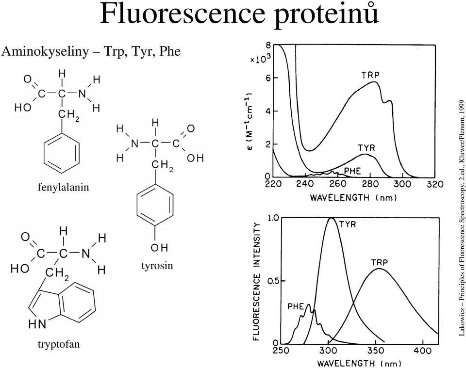 , Kluwer/Plenum, 1999 Fluorescence