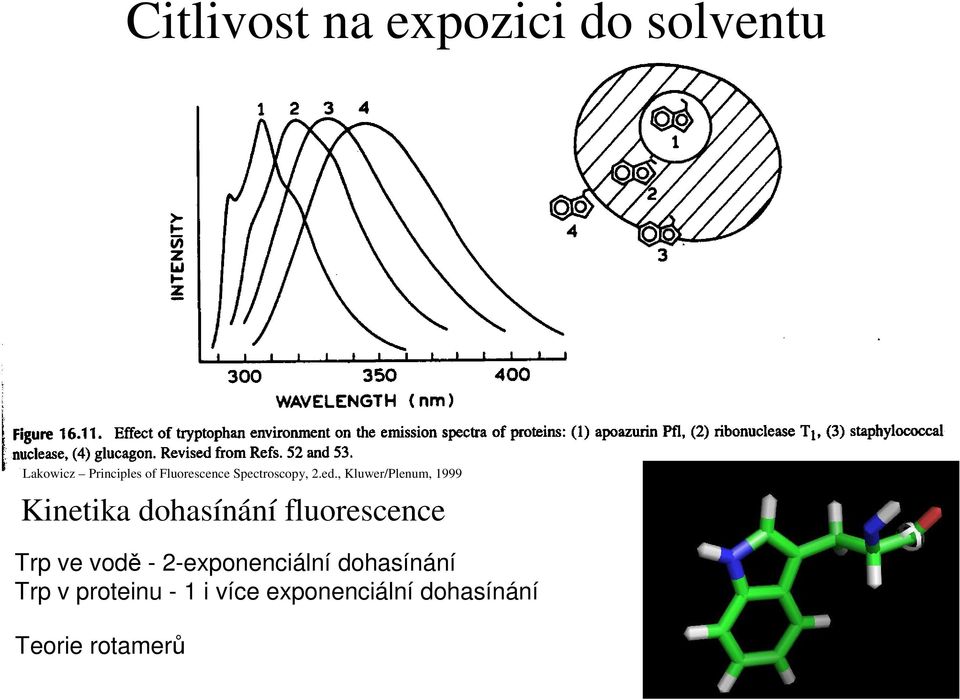 , Kluwer/Plenum, 1999 Kinetika dohasínání fluorescence Trp ve