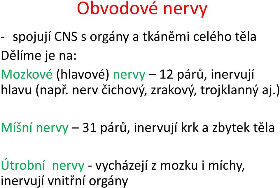 nerv čichový, zrakový, trojklanný aj.