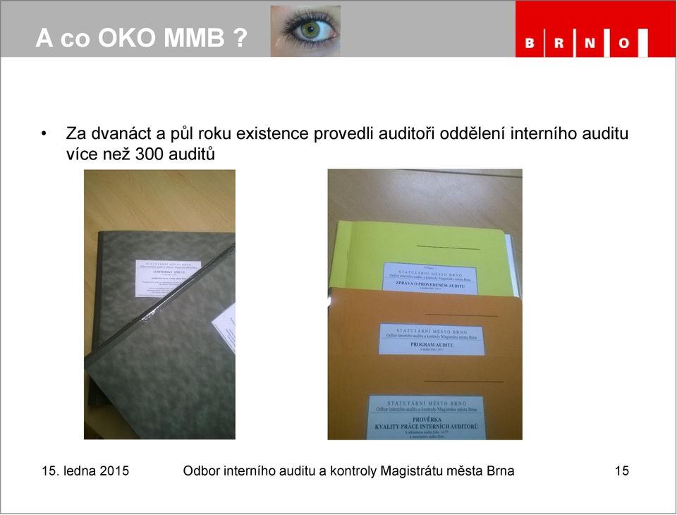 auditoři oddělení interního auditu více než