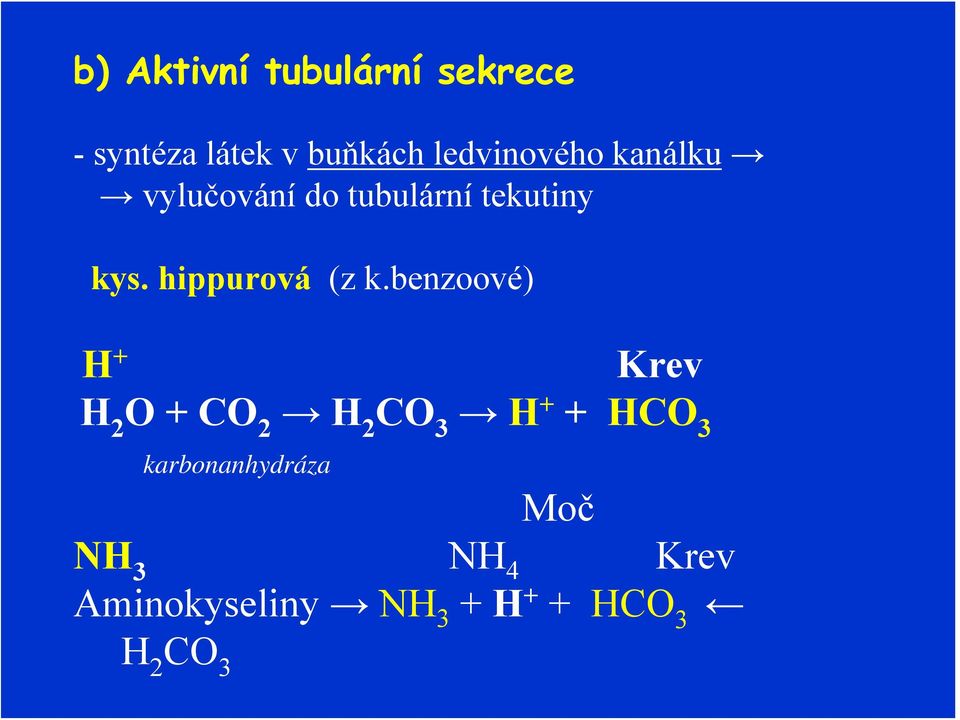 hippurová (z k.