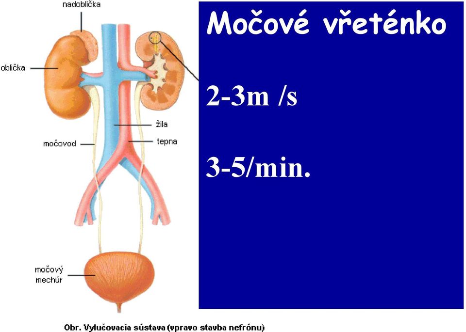 2-3m /s