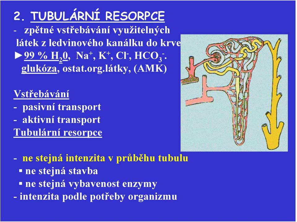 látky, (AMK) Vstřebávání - pasivní transport - aktivní transport Tubulární resorpce -