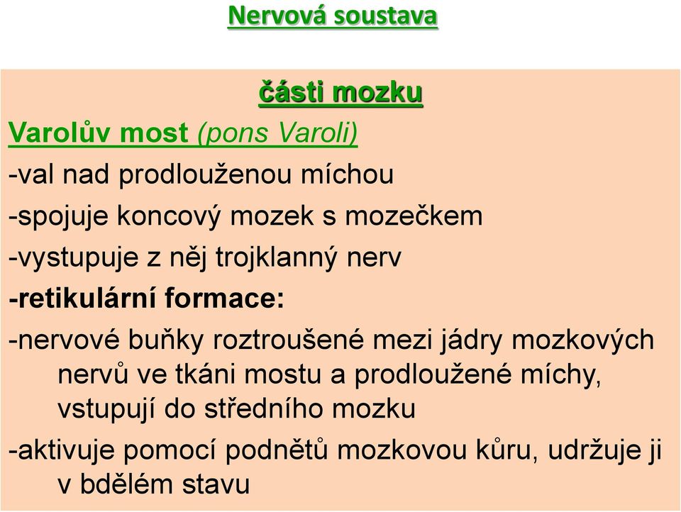 -nervové buňky roztroušené mezi jádry mozkových nervů ve tkáni mostu a prodloužené míchy,