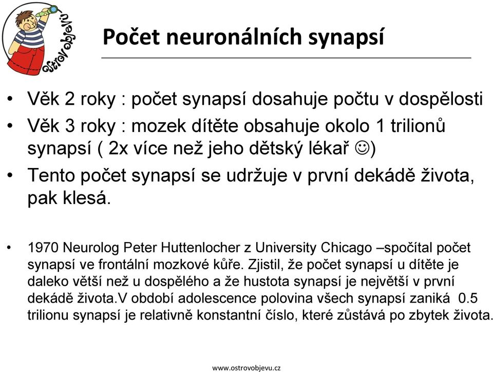 1970 Neurolog Peter Huttenlocher z University Chicago spočítal počet synapsí ve frontální mozkové kůře.