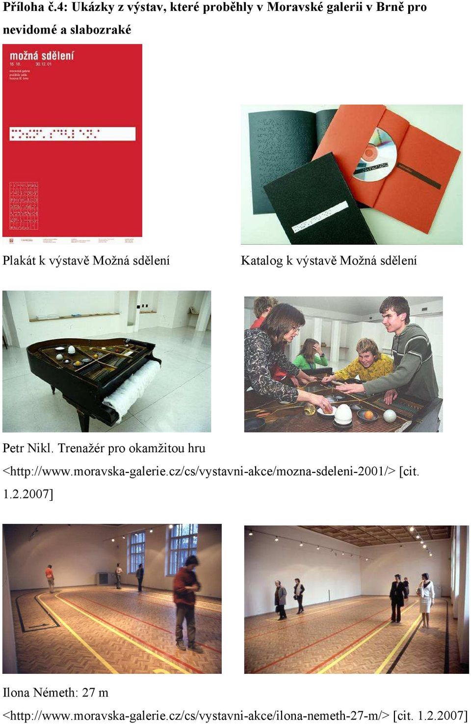 výstavě Možná sdělení Katalog k výstavě Možná sdělení Petr Nikl.