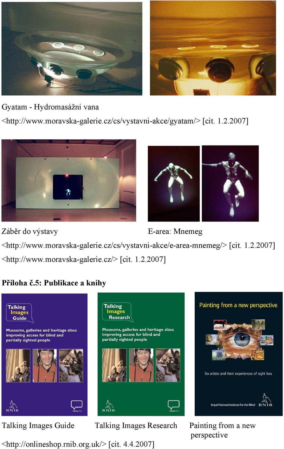 cz/cs/vystavni-akce/e-area-mnemeg/> [cit. 1.2.2007] <http://www.moravska-galerie.cz/> [cit. 1.2.2007] Příloha č.