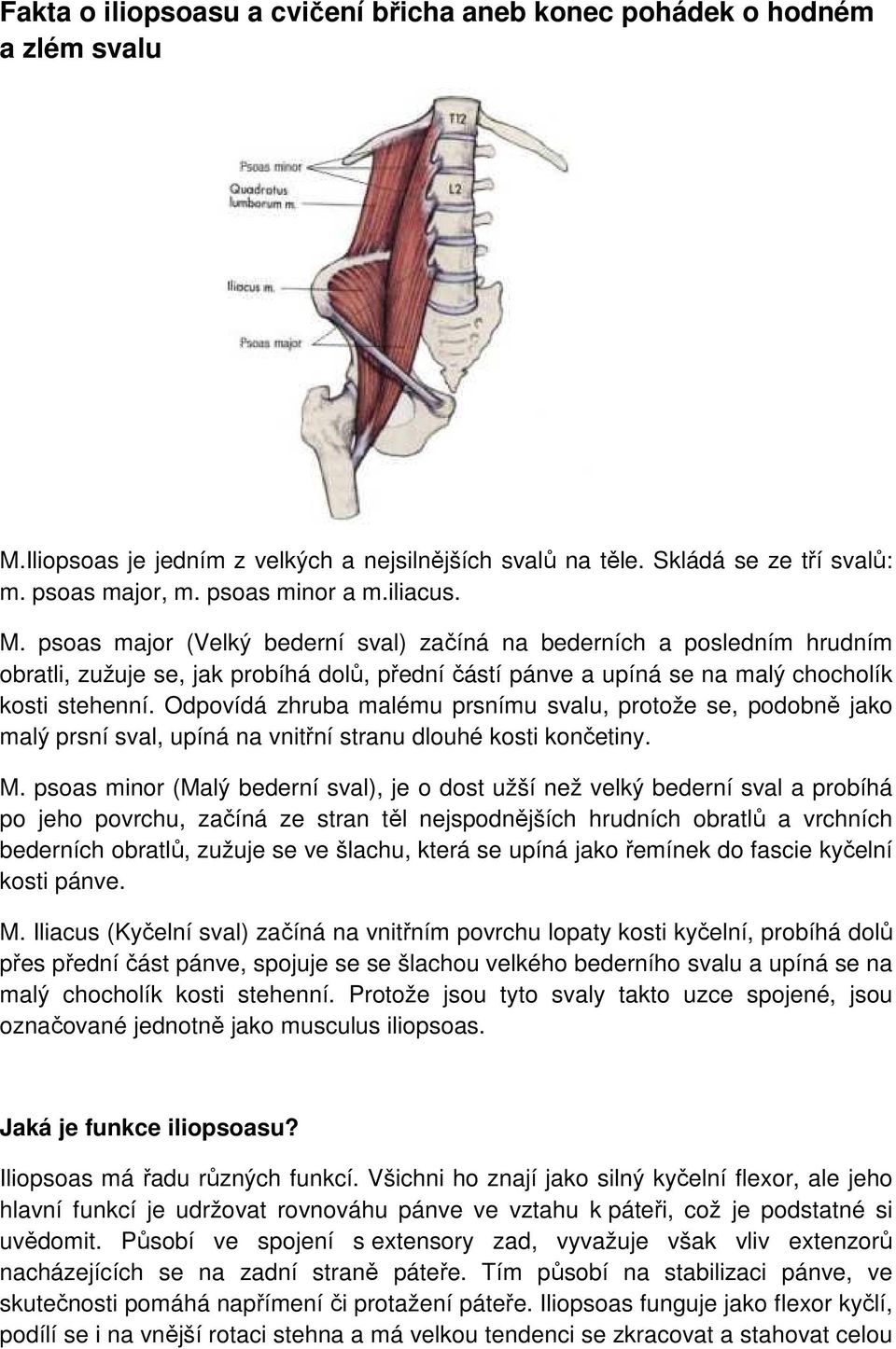 Odpovídá zhruba malému prsnímu svalu, protože se, podobně jako malý prsní sval, upíná na vnitřní stranu dlouhé kosti končetiny. M.