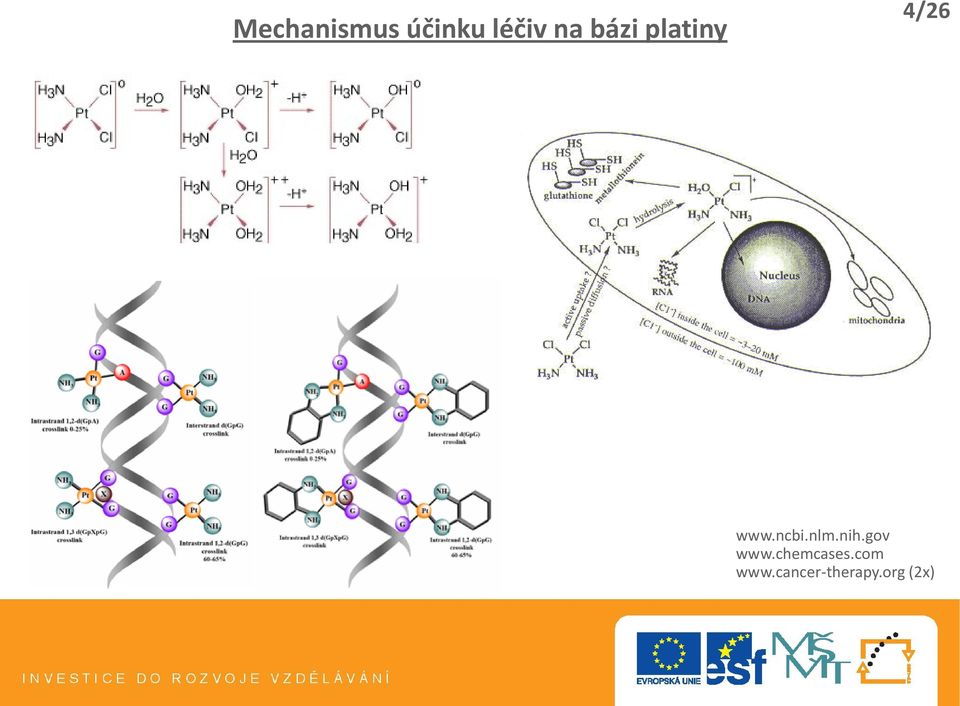 nlm.nih.gov www.chemcases.