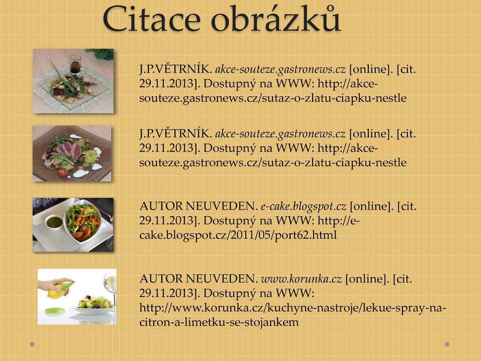 e-cake.blogspot.cz [online]. [cit. 29.11.2013]. Dostupný na WWW: http://ecake.blogspot.cz/2011/05/port62.html AUTOR NEUVEDEN. www.korunka.