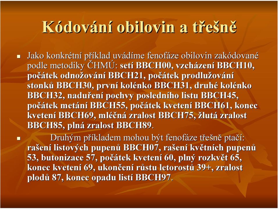 konec kvetení BBCH69, mléčná zralost BBCH75, žlutá zralost BBCH85, plná zralost BBCH89.