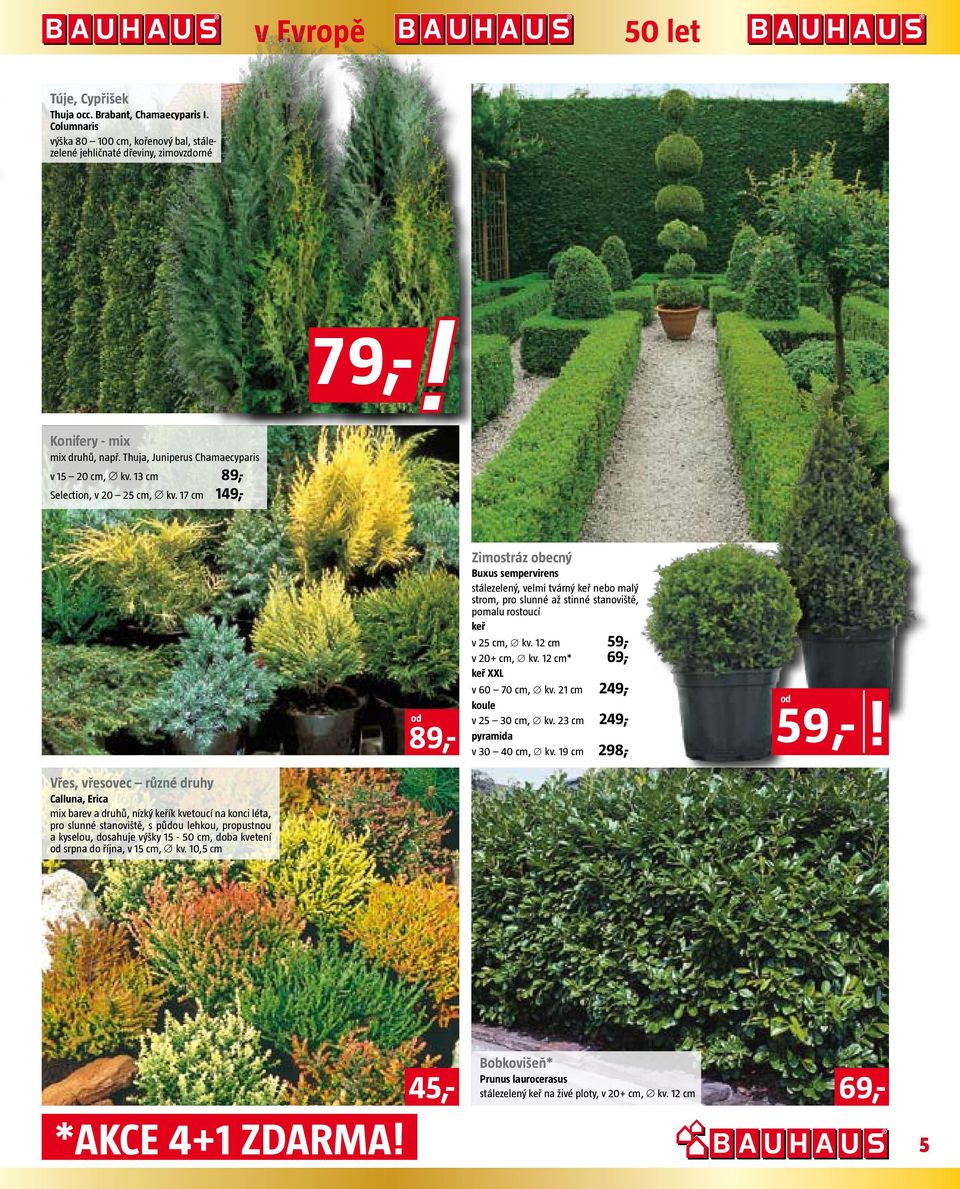 7 cm 49,- Zimostráz obecný Buxus sempervirens stálezelený, velmi tvárný keř nebo malý strom, pro slunné až stinné stanoviště, pomalu rostoucí keř v 5 cm, kv. cm 59,- v 0+ cm, kv.