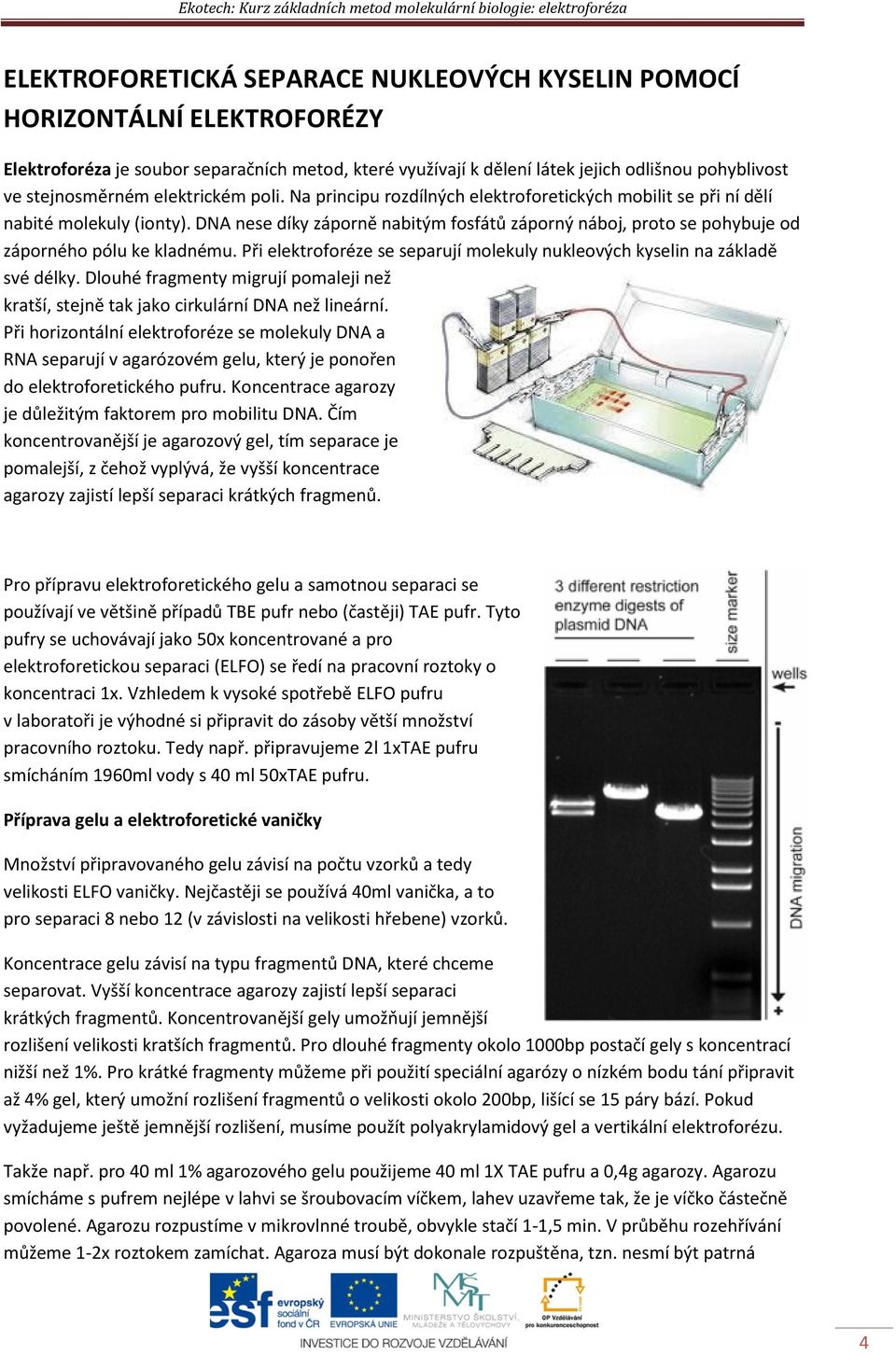 DNA nese díky záporně nabitým fosfátů záporný náboj, proto se pohybuje od záporného pólu ke kladnému. Při elektroforéze se separují molekuly nukleových kyselin na základě své délky.