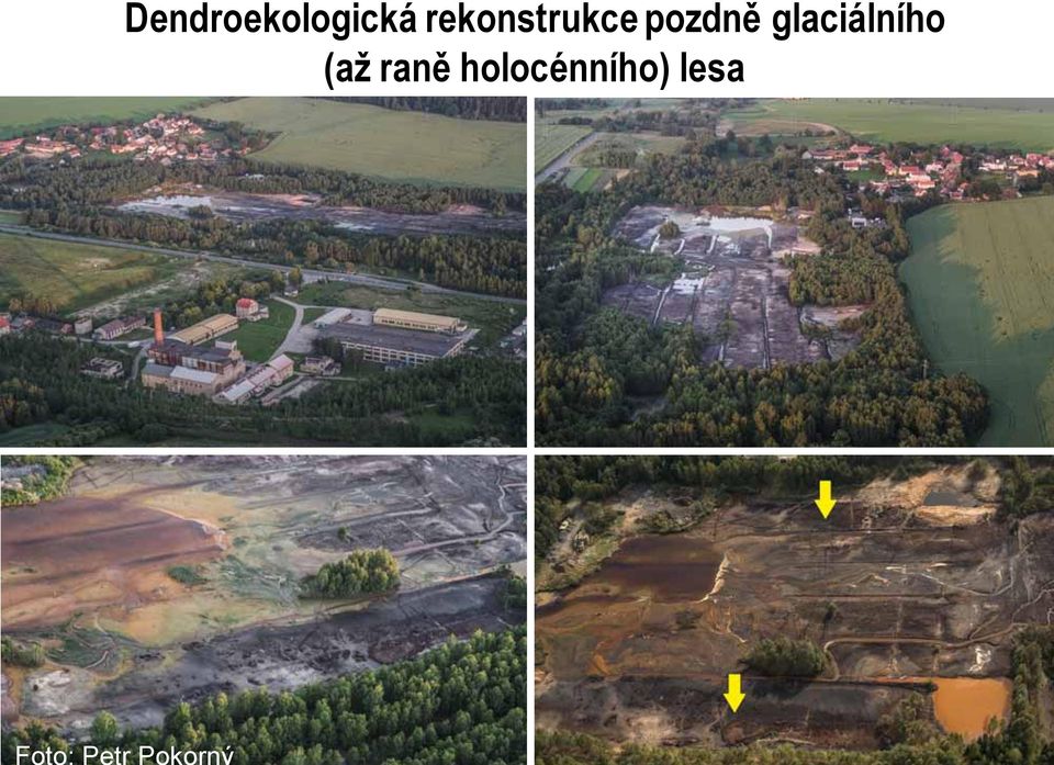 glaciálního (až raně