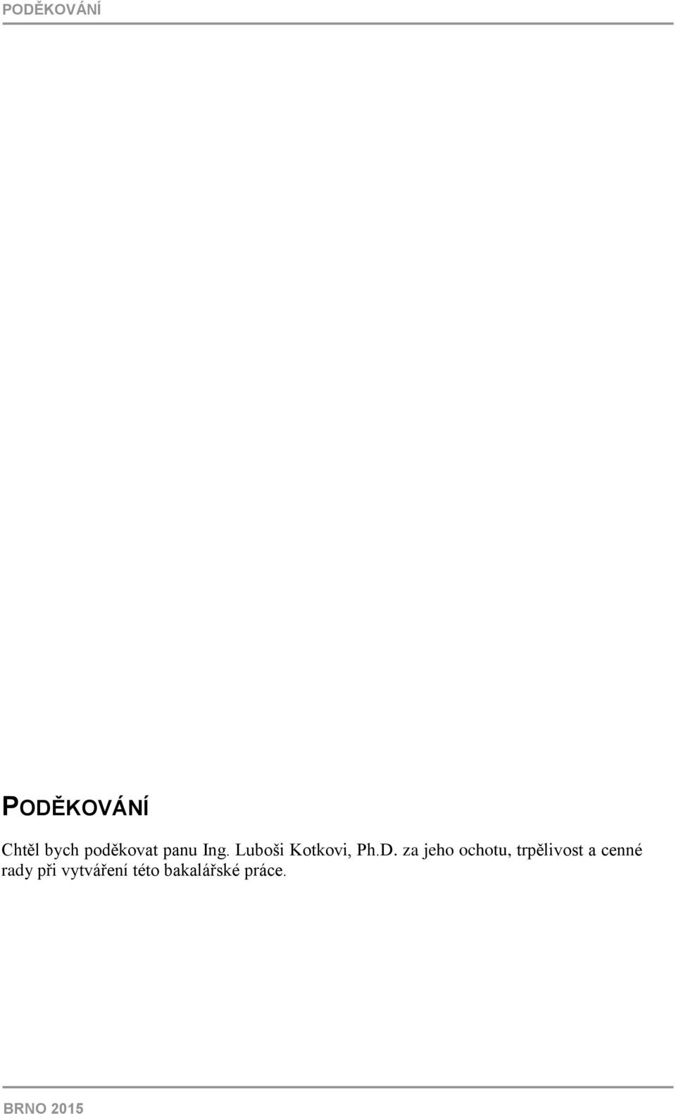 za jeho ochotu, trpělivost a cenné rady