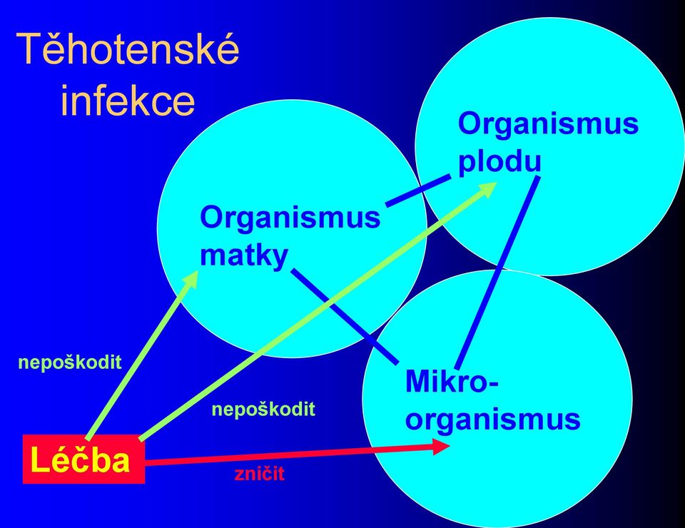 Organismus matky