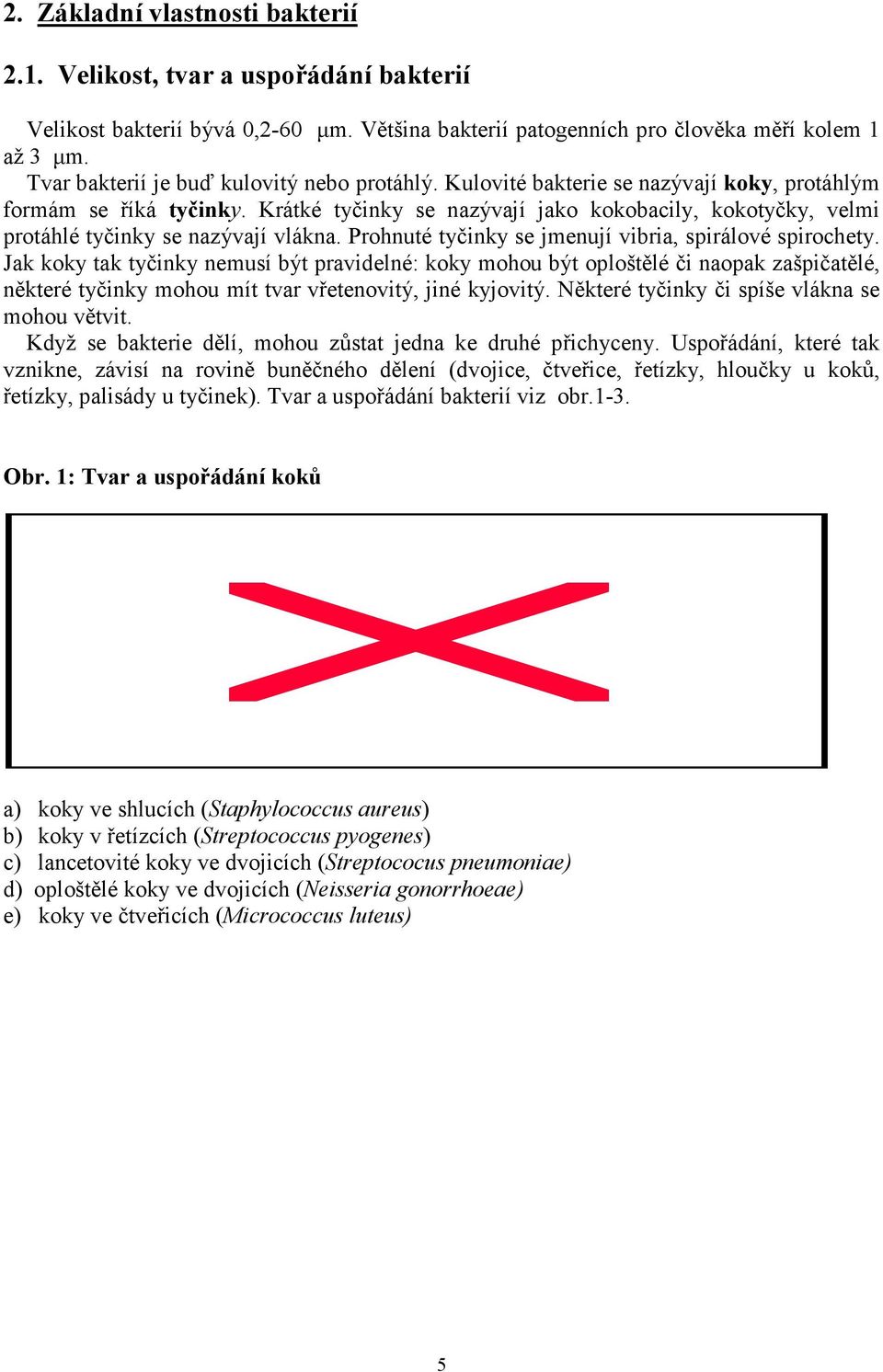 Krátké tyčinky se nazývají jako kokobacily, kokotyčky, velmi protáhlé tyčinky se nazývají vlákna. Prohnuté tyčinky se jmenují vibria, spirálové spirochety.