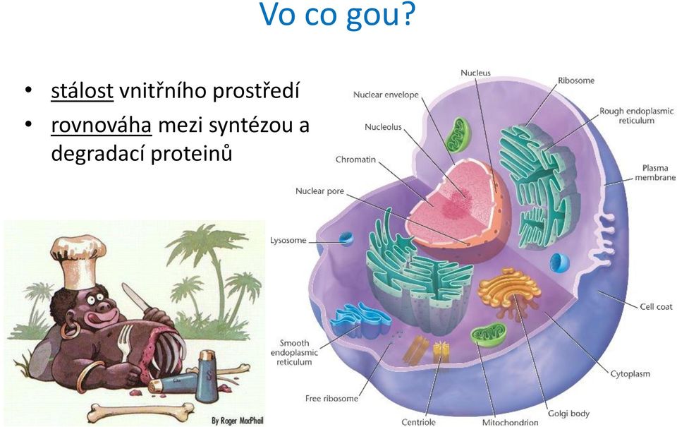 prostředí rovnováha