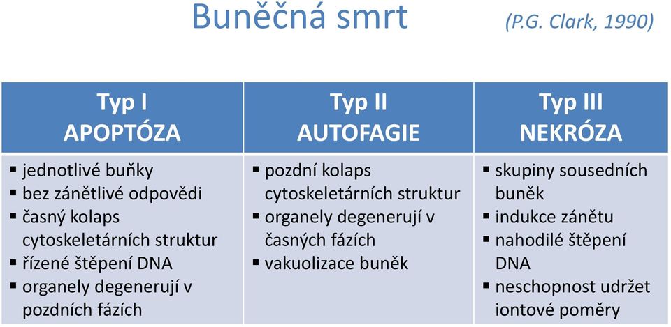 struktur řízené štěpení DNA organely degenerují v pozdních fázích Typ II AUTOFAGIE pozdní kolaps