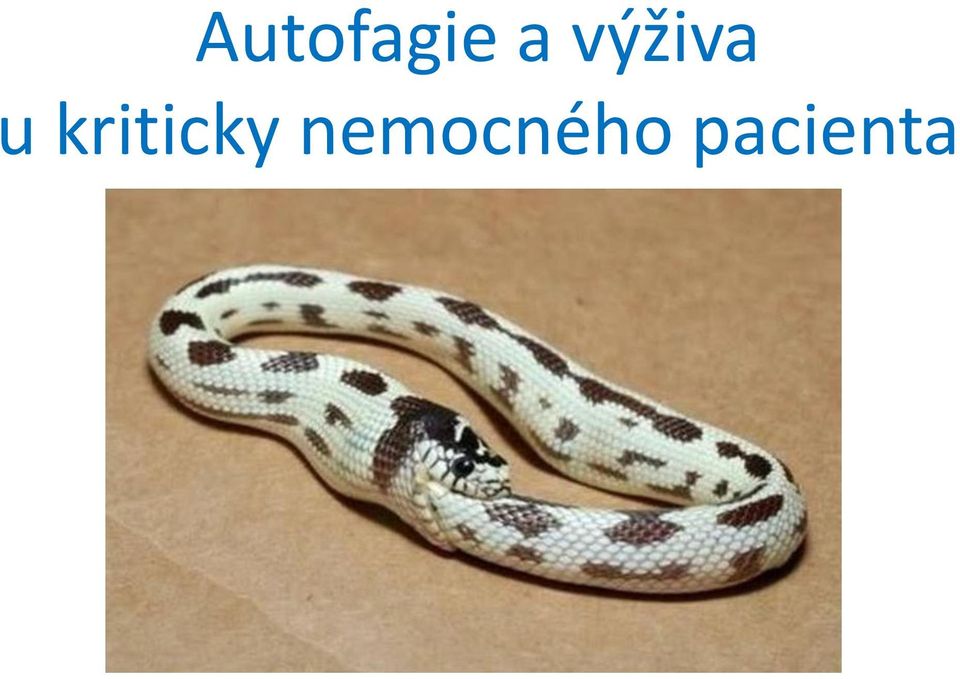 Nemocnice Havířov Mezioborová JIP