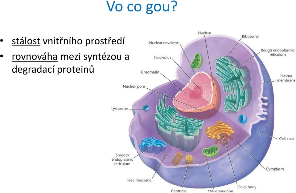 prostředí rovnováha