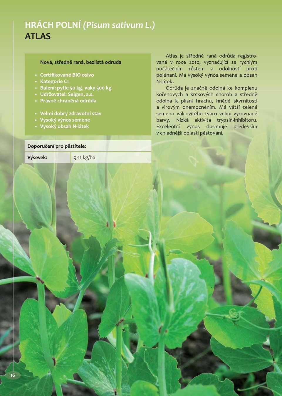 N-látek Atlas je středně raná odrůda registrovaná v roce 2010, vyznačující se rychlým počátečním růstem a odolností proti poléhání. Má vysoký výnos semene a obsah N-látek.