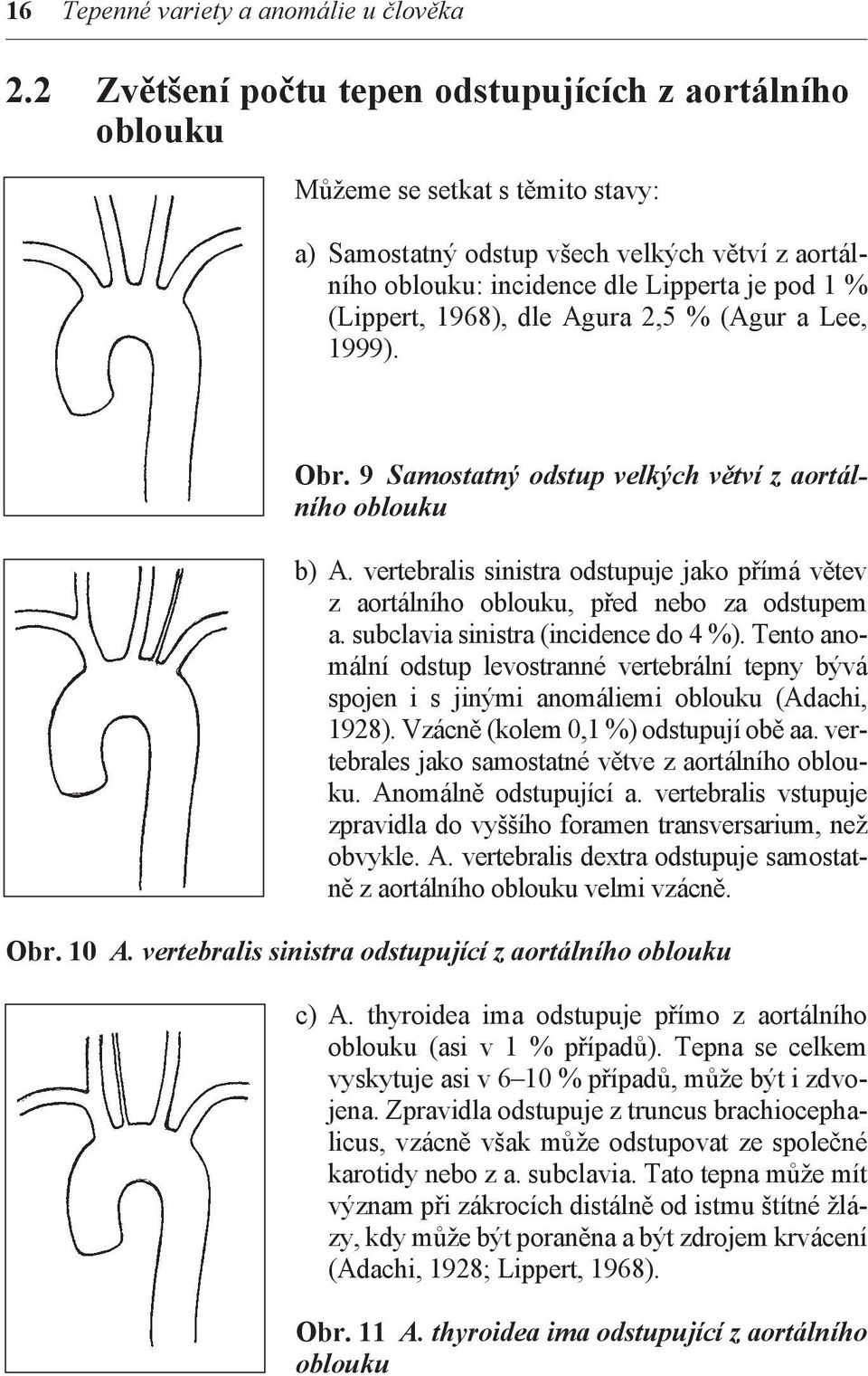 1968), dle Agura 2,5 % (Agur a Lee, 1999). Obr. 9 Samostatný odstup velkých větví z aortálního oblouku b) A.