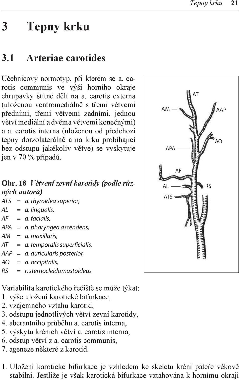carotis interna (uloženou od předchozí tepny dorzolaterálně a na krku probíhající bez odstupu jakékoliv větve) se vyskytuje jen v 70 % případů. Obr.