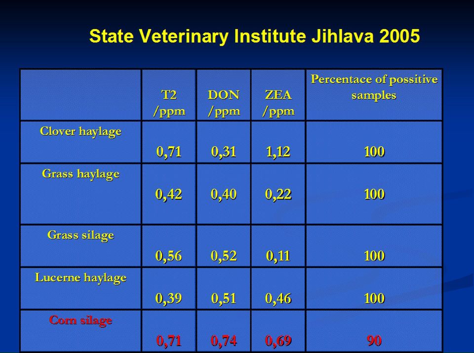 Institute Jihlava