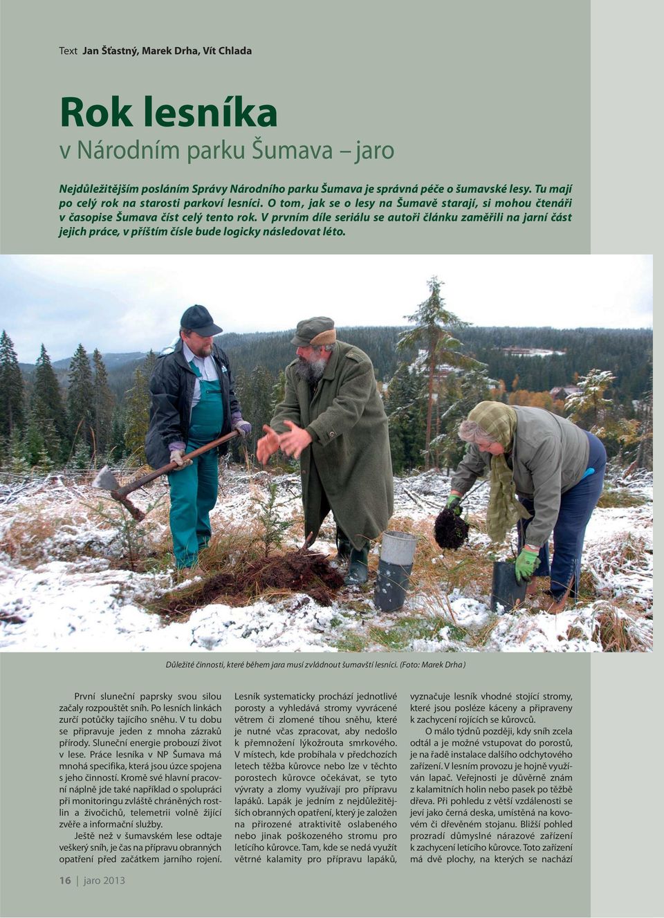 V prvním díle seriálu se autoři článku zaměřili na jarní část jejich práce, v příštím čísle bude logicky následovat léto. Důležité činnosti, které během jara musí zvládnout šumavští lesníci.