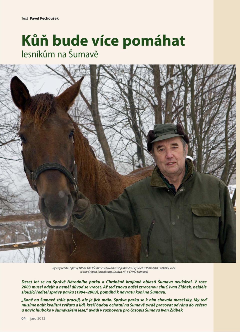 Až teď znovu našel ztracenou chuť. Ivan Žlábek, nejdéle sloužící ředitel správy parku (1994 2003), pomáhá k návratu koní na Šumavu. Koně na Šumavě stále pracují, ale je jich málo.