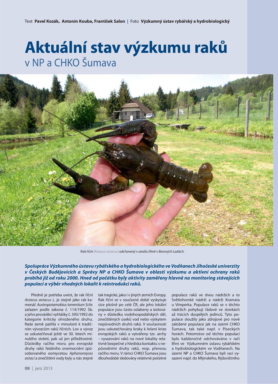 Spolupráce Výzkumného ústavu rybářského a hydrobiologického ve Vodňanech Jihočeské univerzity v Českých Budějovicích a Správy NP a CHKO Šumava v oblasti výzkumu a aktivní ochrany raků probíhá již od