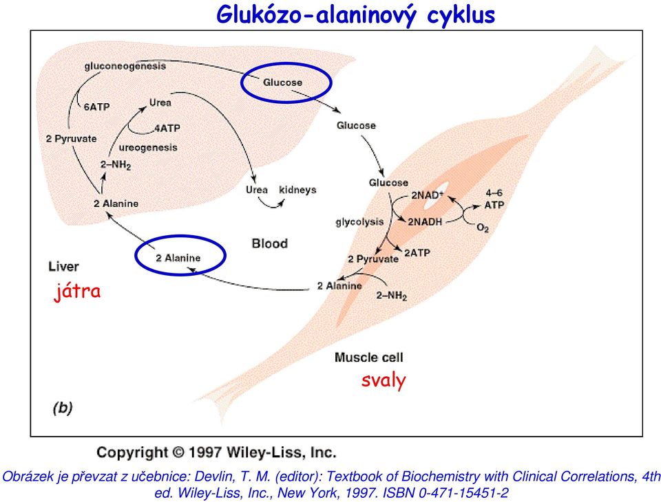 (editor): Textbook of Biochemistry with Clinical