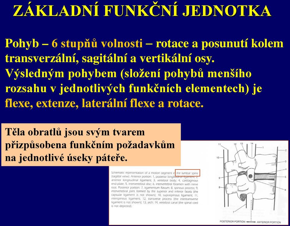 Výsledným pohybem (složení pohybů menšího rozsahu v jednotlivých funkčních