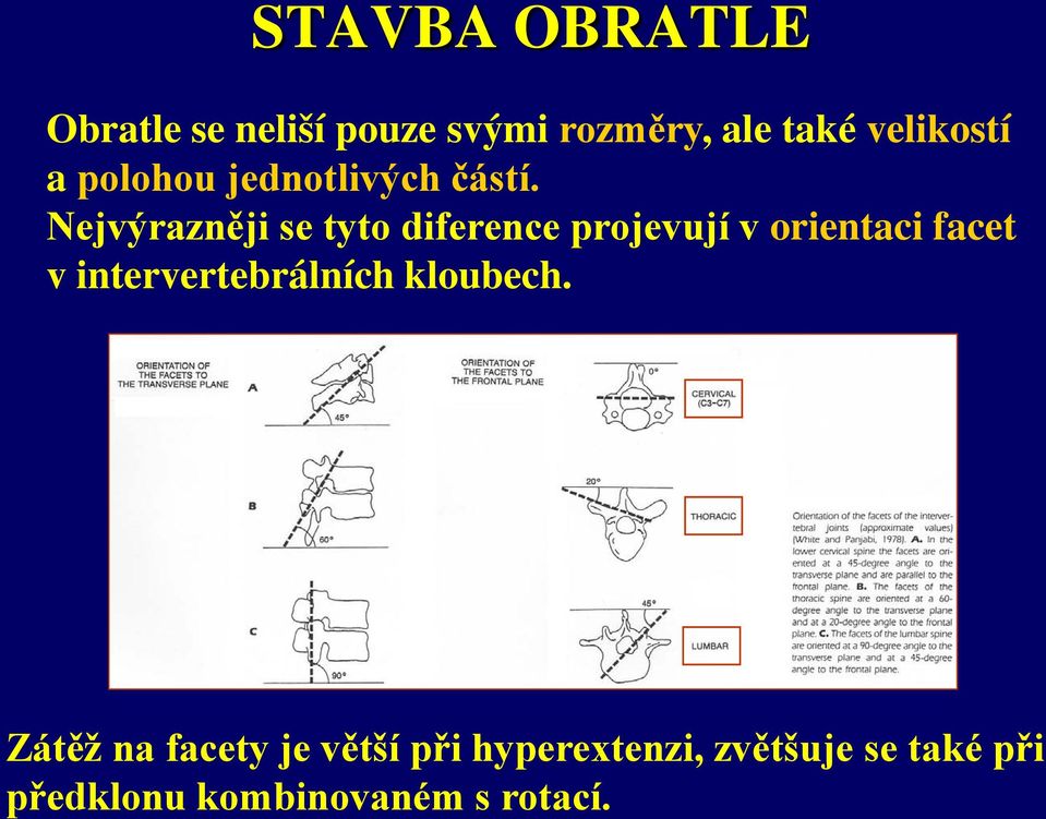 Nejvýrazněji se tyto diference projevují v orientaci facet v