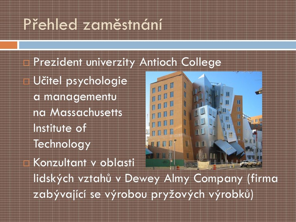 Institute of Technology Konzultant v oblasti lidských