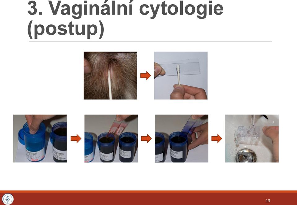 cytologie