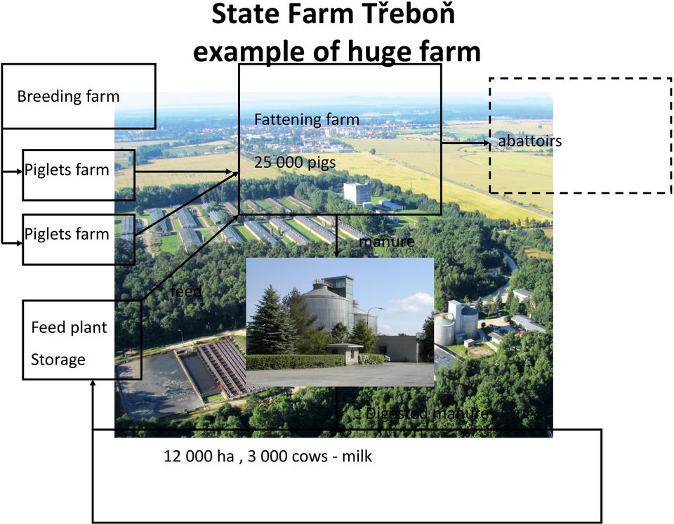 abattoirs Piglets farm manure Feed plant