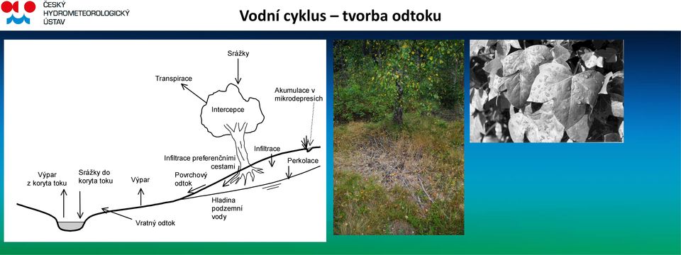 koryta toku Výpar Infiltrace preferenčními cestami