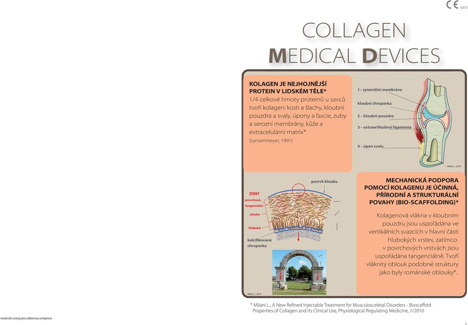 tangenciální střední hluboká kalcifikovaná chrupavka povrch kloubu MECHANICKÁ PODPORA POMOCÍ KOLAGENU JE ÚČINNÁ, PŘÍRODNÍ A STRUKTURÁLNÍ POVAHY (BIO-SCAFFOLDING)* Kolagenová vlákna v kloubním pouzdru