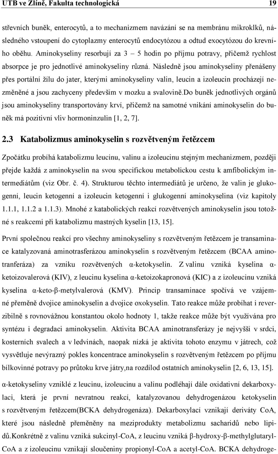 Následně jsou aminokyseliny přenášeny přes portální ţílu do jater, kterými aminokyseliny valin, leucin a izoleucin procházejí nezměněné a jsou zachyceny především v mozku a svalovině.